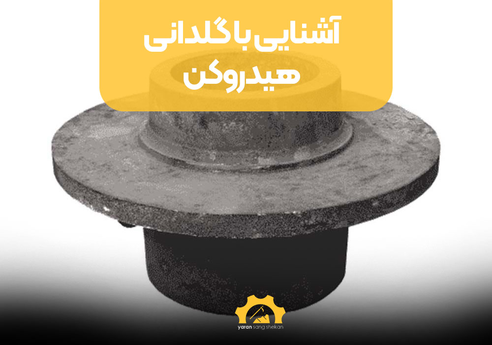 آشنایی با گلدانی هیدروکن